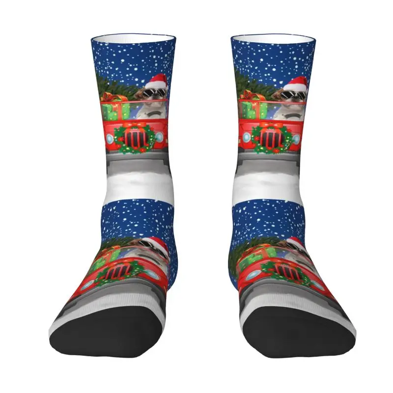 Каваи печати, рождественские ши-тцу вождения носки для женщин для мужчин эластичный Лето Осень Зима мультфильм собака носки экипажа 