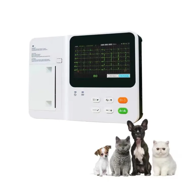 6-канальный ветеринарный многофункциональный цифровой электрокардиограф ветеринарного оборудования среднего класса